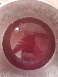 Grape juice simmering in pot before bottling